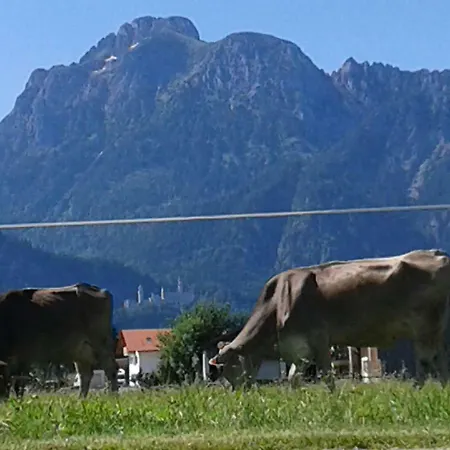 Hirtenstuberl Daire