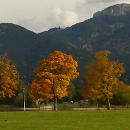 Hirtenstuberl Daire Schwangau